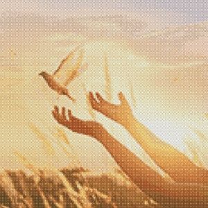 Meet your Posher, Brittney